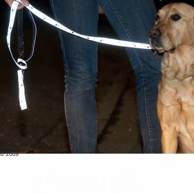 Trixie Set: Halsband Poten Zilver Reflect + Hondenlijn 9 Trixie Set: Halsband Poten Zilver Reflect + Hondenlijn - Afbeelding 7