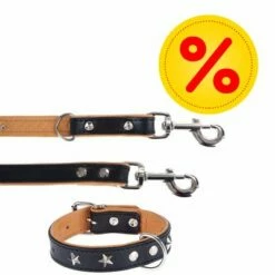 Heim Set: Hondenriem Stars + Leren Halsband Stars