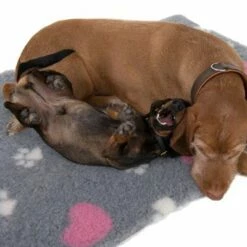 Vetbed® Pootjes & Hartjes 25 Vetbed® Pootjes & Hartjes -Hunter Verkoop 2024 65084 isobed zooplus dsc3141 2