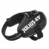 Julius K9 JULIUS-K9 IDC®-Powertuigje - Zwart 2 Julius K9 JULIUS-K9 IDC®-Powertuigje - Zwart -Hunter Verkoop 2024 65896 pla julius k9 idc powergeschirr schwarz gr baby2 hs1 0