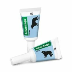 Advantage® 400 Voor Honden Vanaf 25 Kg -Hunter Verkoop 2024 69368 pharmasolutions advantage 400 hunde 25kg hs 03 jpg 5