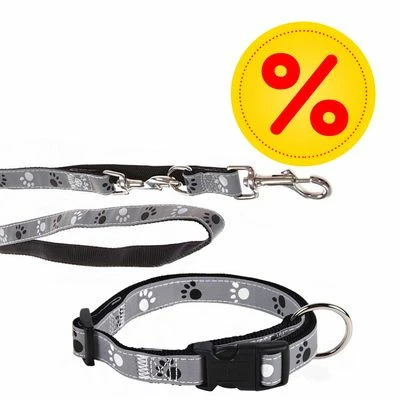Trixie Set: Halsband Poten Zilver Reflect + Hondenlijn 3 Trixie Set: Halsband Poten Zilver Reflect + Hondenlijn