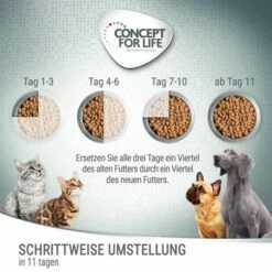 Concept For Life Medium Sterilised Hondenvoer -Hunter Verkoop 2024 6 cfl board feeding 1000x1000 6