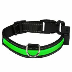 Eyenimal LED-Lichthalsband - Groen