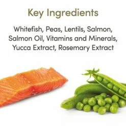 Applaws Adult Zeevis Met Zalm Kattenvoer -Hunter Verkoop 2024 71009 applaws adult meeresfisch lachs hs 02 5