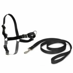 PetSafe Easy Walk Harness