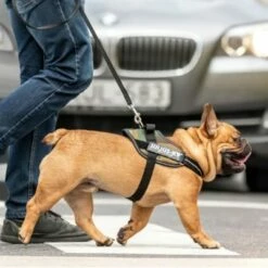 Julius K9 JULIUS-K9 IDC®-Powertuigje - Camouflage -Hunter Verkoop 2024 73991 julius k9 idc powergeschirr camouflage hs7 8