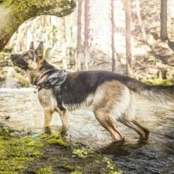 Julius K9 JULIUS-K9 IDC®-Powertuigje - Camouflage -Hunter Verkoop 2024 74075 julius k9 idc powergeschirr camouflage 1 1