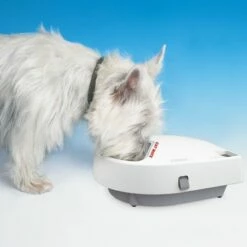 Cat Mate Voerautomaat C300 10 Cat Mate Voerautomaat C300 -Hunter Verkoop 2024 74085 catmate fa c300 hs 05 0