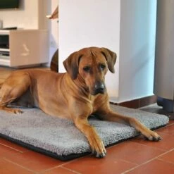 Pawz & Pepper Hondenmat Aurora Ortho 17 Pawz & Pepper Hondenmat Aurora Ortho -Hunter Verkoop 2024 78424 petlando pawzpepper hundekissen denver hs 07 9