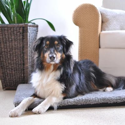 Pawz & Pepper Hondenmat Aurora Ortho 5 Pawz & Pepper Hondenmat Aurora Ortho - Afbeelding 3