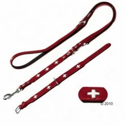 Hunter Set: Halsband Swiss + Hondenriem Swiss -Hunter Verkoop 2024 78553 hunter swiss leinense 1