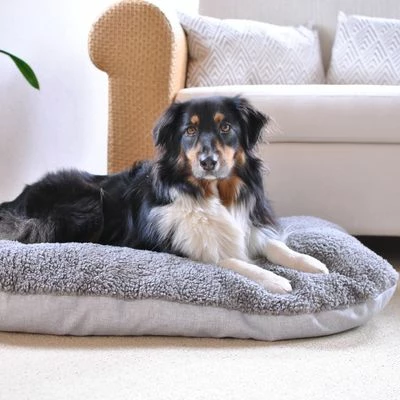 Pawz & Pepper Hondenkussen Denver Ortho 14 Pawz & Pepper Hondenkussen Denver Ortho - Afbeelding 12