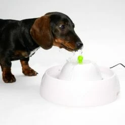 Neptun Drinkfontein 22 Neptun Drinkfontein -Hunter Verkoop 2024 80407 trinkbrunnen trevi fg nachschlag 3283 6