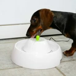 Neptun Drinkfontein 35 Neptun Drinkfontein -Hunter Verkoop 2024 80407 trinkbrunnen trevi fg nachschlag 3305 7