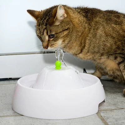 Neptun Drinkfontein 19 Neptun Drinkfontein - Afbeelding 17