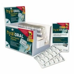 Hyaloral Kleine & Middelgrote Rassen -Hunter Verkoop 2024 81538 pla gepork hyaloral 270comp 9