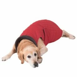 Hondenjas Gewatteerd 31 Hondenjas Gewatteerd -Hunter Verkoop 2024 81645 hundemantel steppmuster hund fg 8625 gespiegelt 3