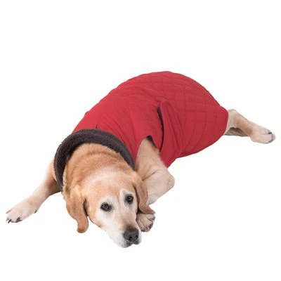 Hondenjas Gewatteerd 17 Hondenjas Gewatteerd - Afbeelding 15