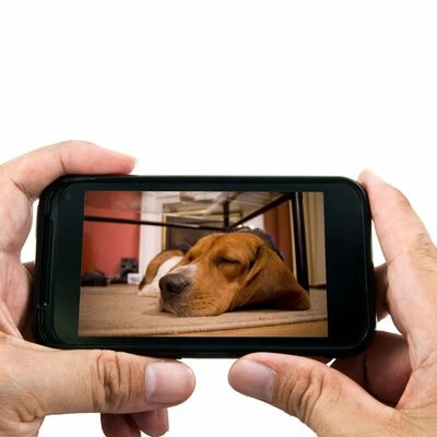 EYENIMAL PET VISION LIVE FULL HD-camera 4 EYENIMAL PET VISION LIVE FULL HD-camera - Afbeelding 2