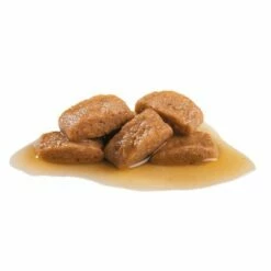 Royal Canin Maxi Adult Hondenvoer In Saus 11 Royal Canin Maxi Adult Hondenvoer In Saus -Hunter Verkoop 2024 82975 royalcanin maxi adult 2