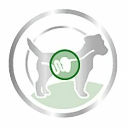 Royal Canin Mini Adult Hondenvoer In Saus -Hunter Verkoop 2024 83013 royalcanin mini adult picto 9