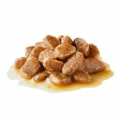 Royal Canin Mini Ageing Hondenvoer In Saus -Hunter Verkoop 2024 83014 pla royalcanin mini ageing 9