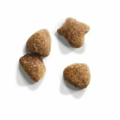 Iams Cat Proactive Health Adult Rijk Aan Kip -Hunter Verkoop 2024 83508 iams for vitality adult huhn 10kg 3