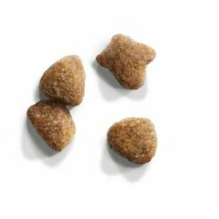 Iams Cat Proactive Health Adult Met Vis -Hunter Verkoop 2024 83510 iams for vitality adult fisch 10kg 3 9