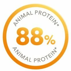 Iams Cat Proactive Health Adult Met Vis -Hunter Verkoop 2024 83510 iams for vitality adult fisch 10kg 4 5