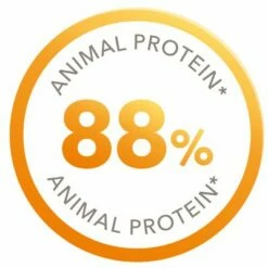 Iams Pro Active Health Senior & Mature -Hunter Verkoop 2024 83512 iams cat senior chicken 3 7