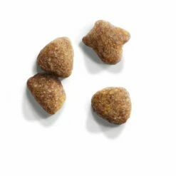 Iams Cat Proactive Health Adult Met Lam 7 Iams Cat Proactive Health Adult Met Lam -Hunter Verkoop 2024 83704 iams for vitality adult lamm 10kg 2 9