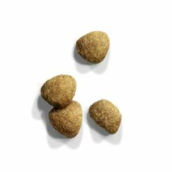 IAMS Cat Adult Sterilised Chicken Kattenvoer -Hunter Verkoop 2024 83705 iams cat adult sterilised chicken 3kg hs 02 1