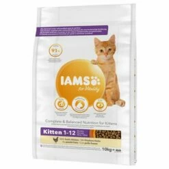 IAMS Pro Active Health Kitten & Junior