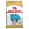Royal Canin Cavalier King Charles Puppy Hondenvoer 2 Royal Canin Cavalier King Charles Puppy Hondenvoer -Hunter Verkoop 2024 84453 pla royalcanin puppyhund cavalier 1