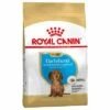 Royal Canin Teckel Puppy Hondenvoer 2 Royal Canin Teckel Puppy Hondenvoer -Hunter Verkoop 2024 84603 pla royalcanin puppyhund dachshund 6