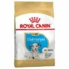 Royal Canin Dalmatian Puppy Hondenvoer -Hunter Verkoop 2024 84604 pla royalcanin puppyhund dalmatian 6