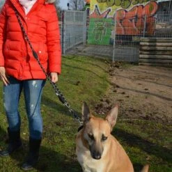 Julius K9 JULIUS-K9 IDC® Verstelbare Hondenriem 14 Julius K9 JULIUS-K9 IDC® Verstelbare Hondenriem -Hunter Verkoop 2024 89698 juliusk9 idcadjustableropeleash hs 11 2