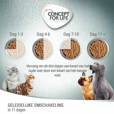 Concept For Life All Cats 10+ – Verbeterde Receptuur! 5 Concept For Life All Cats 10+ – Verbeterde Receptuur! - Afbeelding 3