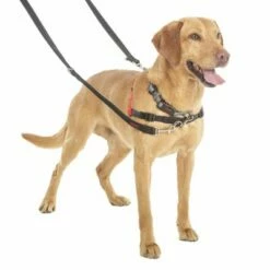 HALTI Trainingslijn -Hunter Verkoop 2024 94508 coa halti trainingsleine hs3 8