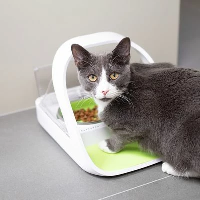 SureFeed Microchip Voerautomaat Connect 13 SureFeed Microchip Voerautomaat Connect - Afbeelding 11