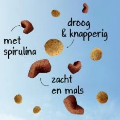 Purina ONE Dual Nature Sterilized Rund Met Spirulina Kattenvoer -Hunter Verkoop 2024 978988 kibblesfeatures 4