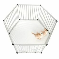 Puppy Ren Van Aluminium -Hunter Verkoop 2024 99504 welpenfreilaufgehege fg 5870 1