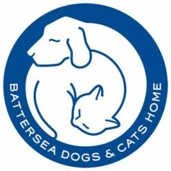 Pet Teezer De-shedding Brush Small -Hunter Verkoop 2024 99699 newflag petteezer desheddingbrush purple hs 06 4