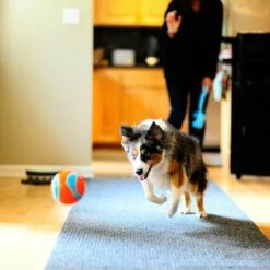 Chuckit! Indoor Ball -Hunter Verkoop 2024 99702 chuckit indoor ball hs 04 0