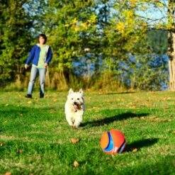 Chuckit! Kick Fetch 11 Chuckit! Kick Fetch -Hunter Verkoop 2024 99703 petmate chuckit kick fetch large hs 04 9
