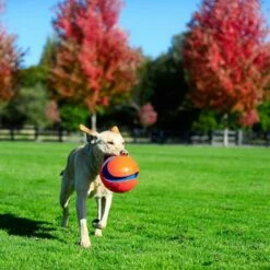 Chuckit! Kick Fetch 13 Chuckit! Kick Fetch -Hunter Verkoop 2024 99703 petmate chuckit kick fetch large hs 06 3