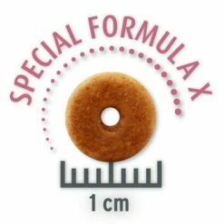 Concept For Life All Cats -Hunter Verkoop 2024 all cats opt copy 4