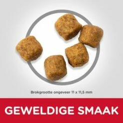 Hill's Science Plan Mature Adult Medium Met Lam & Rijst 8 Hill's Science Plan Mature Adult Medium Met Lam & Rijst -Hunter Verkoop 2024 atf10 604379 food shot 9