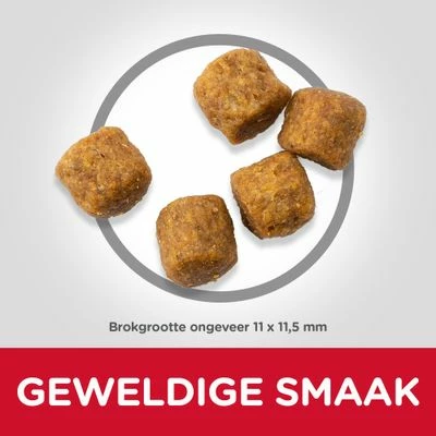 Hill's Science Plan Mature Adult Medium Met Lam & Rijst 5 Hill's Science Plan Mature Adult Medium Met Lam & Rijst - Afbeelding 3